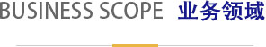 業(yè)務(wù)領(lǐng)域